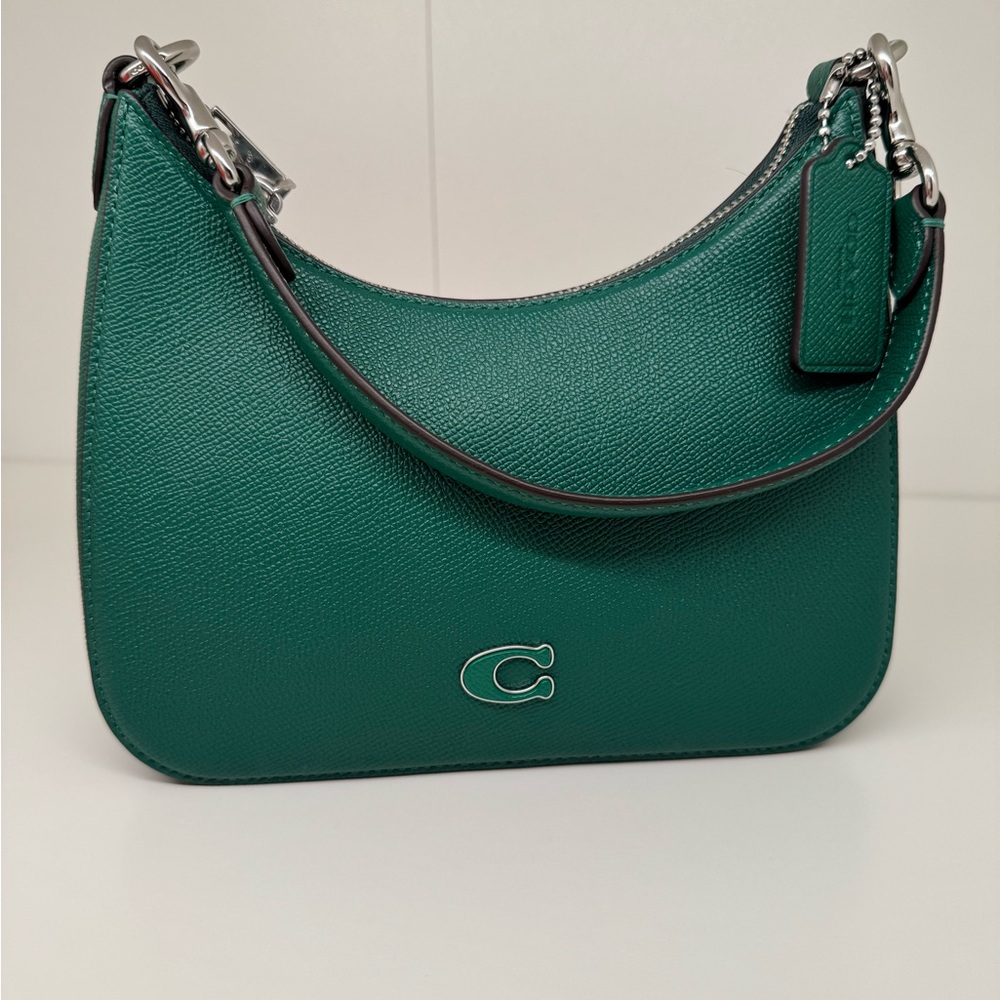 Coach Teri Hobo Green Crossbody Bag with Textured Leather and Silver Hardware
